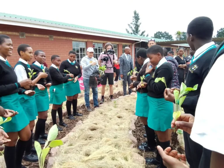 ABAKWA-ABSA BETHULE NGOKUSEMTHETHWENI INGADI YESIKOLE